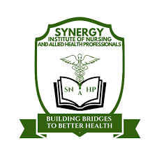 Synergy Institute of Nursing logo